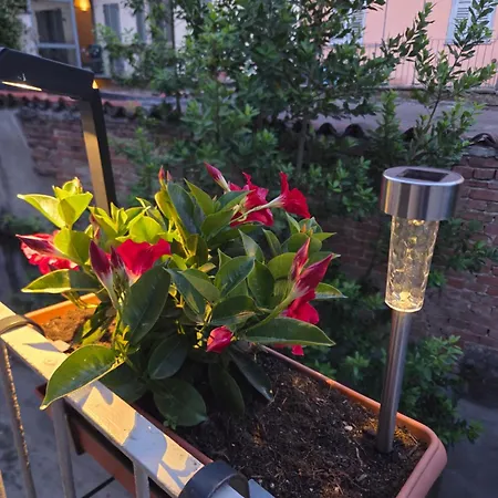 Apartment Ca Fiamma 1